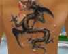 ^mtn_FlashWingDragM