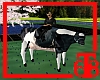 (T68)Cow That Moos