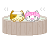 kittens in hottub