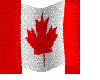 Canadian Flag Wings
