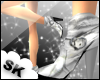 [SK] Silver Tear Kickerz