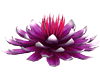 sticker_914600_905784