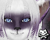 Grape Pockitty Set