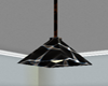 Ceiling Light