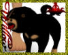 WF>Rottweiler Puppy
