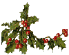 christmas branch