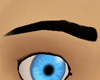 Black Eyebrows