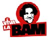 VIVA LA BAM