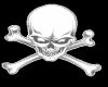 Product Image for Scrolling Skull TShirt-M