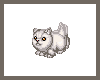 Persian Kitty