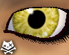 Custard Flavor Eyes F