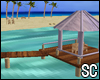 [SC] Port Aransas Beach