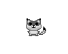 Sugar Racoon