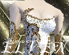 ELVEN Juno