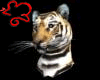 Tiger Head