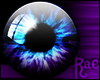 R: BluPur Stargazers [F]