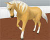 *Palamino RidingHorse(A)