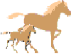 mommy baby horse
