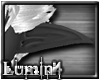 [*L] Noble Drow Ears