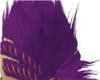 [iPF] PurpleOrange Eiko