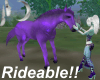 )o( Purple RideableHorse