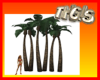 Palm trees