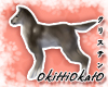 gray dog_medium size