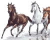 3 Horses