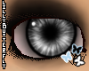 [L] White i-Raver