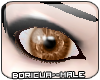 [B] Soft Brown