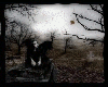 Alone on the cemetery