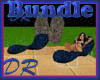 [DR] Delux Pool Bundle