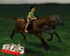 Horse Riding