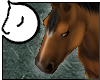 [zv] Bay Horse - Fur