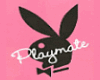 Playboy Mansion