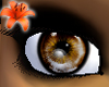 Prism Eyes Chocolate Bar