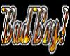 Bad Boy