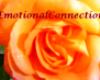 emotionalconnection
