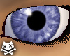 Blueberry Flavor Eyes F
