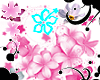 HiBiScUs and stars