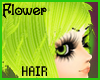 $- Green Pand.