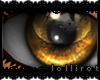 *L� iGalaxy | Brown