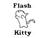 Breakdance Flash Kitty