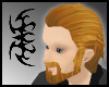 ASM red blond slick
