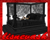 (L) Black Bed w/Poses