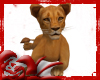 *D* Lion Cub