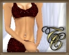 TC~ Salsa Red Hott