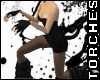 Black Cat Bundle