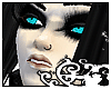 [7E]Kiss The Enchanting
