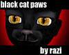 Black Paws